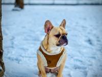 Ahmadou NJOYA - Doumah